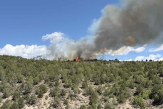Wildfire sparks in western Colorado, forces evacuations
