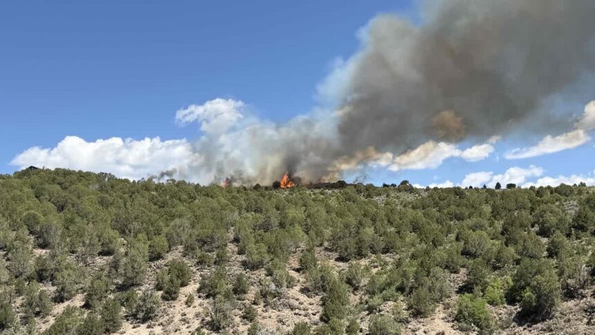 Wildfire sparks in western Colorado, forces evacuations