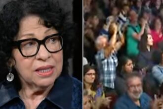 1 Line From Sonia Sotomayor Earns A Standing Ovation On ‘Colbert’