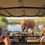 Pilanesberg, South Africa, Lush private game lodge for exciting safaris