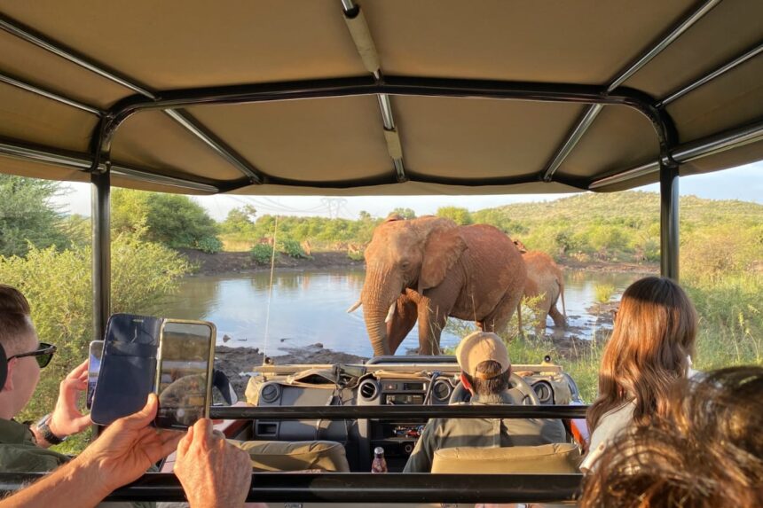 Pilanesberg, South Africa, Lush private game lodge for exciting safaris