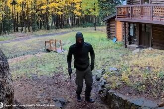 Burglary suspect who triggered Clear Creek shelter-in-place arrested