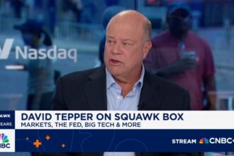 David Tepper says Fed could cut a few more times, but easing too much risks entering 'danger territory'