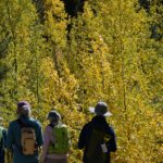 Georgetown reopens to I-70 traffic after leaf peeping gridlock