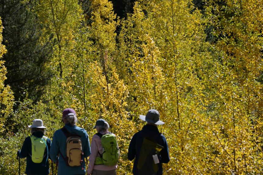 Georgetown reopens to I-70 traffic after leaf peeping gridlock