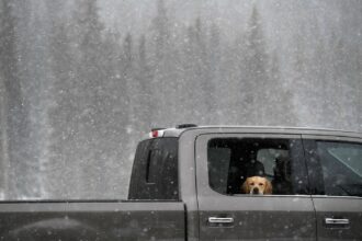 Hazardous snow forecast for high mountains