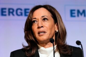 Kamala Harris Admits This Split-Second Blunder ‘Pulled The Pin' On Her Campaign