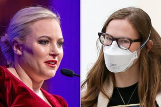 Meghan McCain Digs At 'Nepo Baby' Advocate Over UN Speech