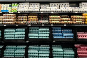 Salmonella Outbreak Tied To Recalled Eggs Has Sickened 95 People Since January