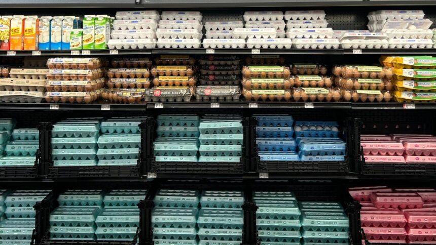 Salmonella Outbreak Tied To Recalled Eggs Has Sickened 95 People Since January