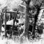 September 14, Monaco princess dies of car crash injuries