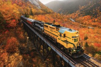 These 5 U.S. Scenic Train Rides Offer The Best Fall Views This Year