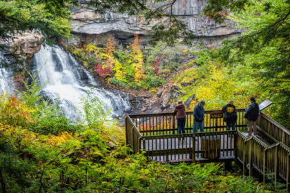 People observing waterfall at Blackwater Falls State Park