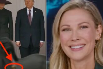 ‘Daily Show’ Spots Horse’s Hilarious ‘Special Salute’ To Trump During UK State Visit