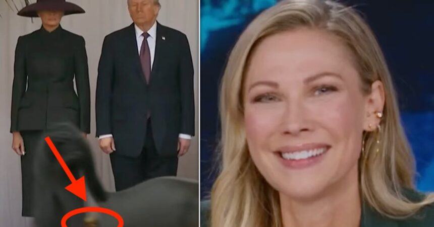 ‘Daily Show’ Spots Horse’s Hilarious ‘Special Salute’ To Trump During UK State Visit