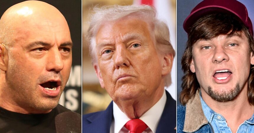 ‘That’s F**king Crazy’: Trump Torched In New Ad Aimed At The ‘Manosphere’