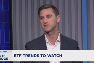 Artificial intelligence, bitcoin as top BlackRock ETF place