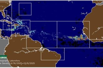 Cancun Enters Final Stretch of 2025 Sargassum Season