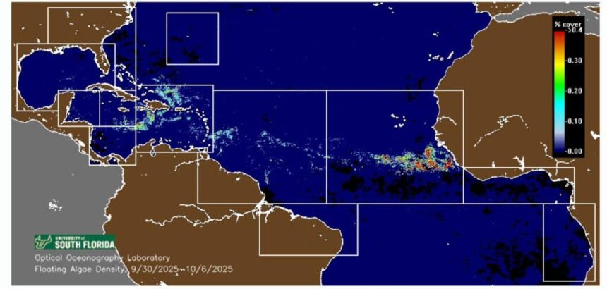 Cancun Enters Final Stretch of 2025 Sargassum Season