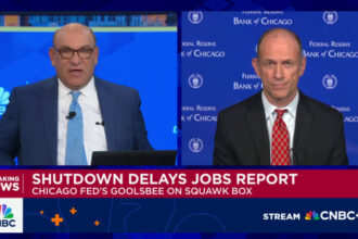 Chicago Fed President Goolsbee 'a little wary' about cutting interest rates too quickly
