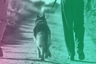 Eeyore The Dog Helps Florida Deputy Find Missing 86-Year-Old