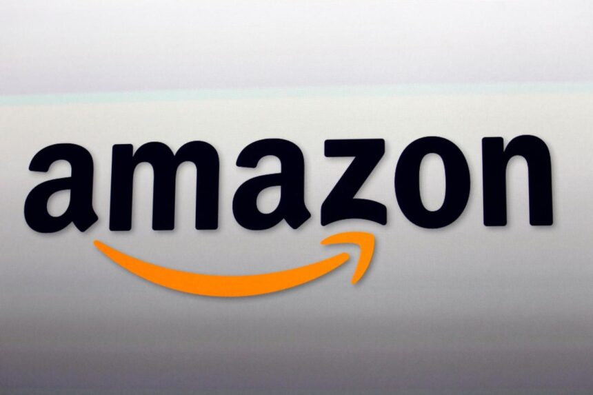 Ex-Amazon driver sues civil rights agency for dropping her case