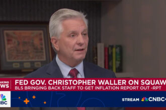 Fed Governor Waller sees more rate cuts but says central bank needs to be 'cautious about it'