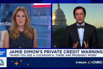 Moody's says the banking system, private credit markets are sound despite worries over bad loans