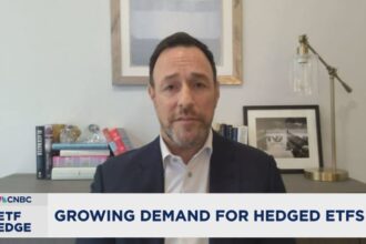 More retirees opting for 'good enough' stock strategy to protect money