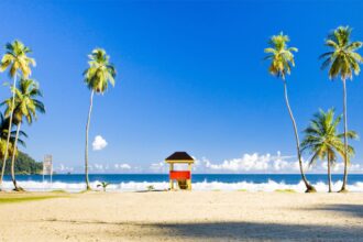 No Evidence of Credible Threat Behind U.S. Alert in Trinidad & Tobago, Says Police