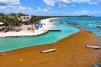 Planning a 2026 Cancun Vacation? Here Are the Beaches Most Affected by Sargassum To Avoid