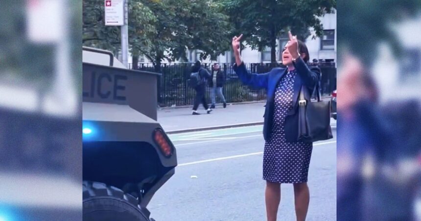 'Polka-Dot Dress Lady' Emerges As NYC's Anti-ICE Folk Hero