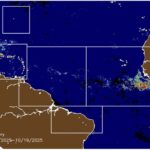 Sargassum Season in Cancun Area Nearing Its End, Says Governor