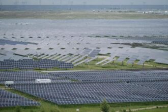 Solar and wind power has grown faster than electricity demand this year, report says