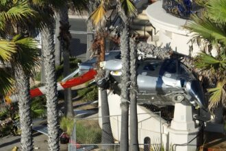 Southern California Beachgoers Watch Helicopter Spiral Out Of Control, Slam Into Palms