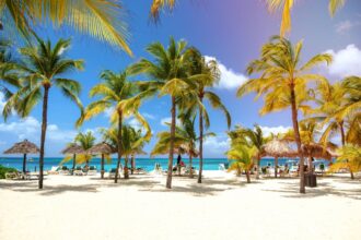 Pristine beach lined with palm trees in Aruba