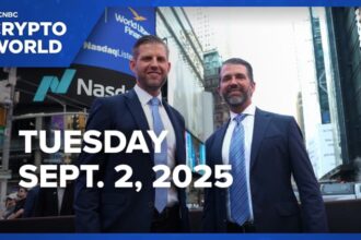 Trump Jr. dismisses World Liberty Financial conflict of interest concerns