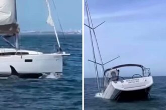 Video Shows Orcas Sinking Boat Off Lisbon Coast