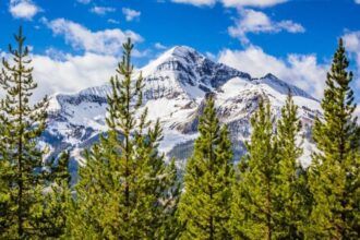 10 Best Places to Travel in 2026, According to Expedia