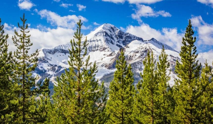 10 Best Places to Travel in 2026, According to Expedia