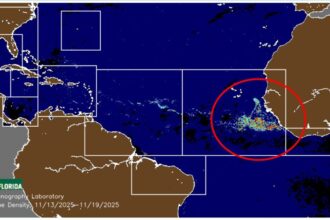 Cancun's Hurricane & Sargassum Seasons Officially End in as High Tourism Period Begins