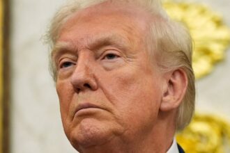 Economist Stunned By Trump’s Latest Brazen Claims: ‘The Reality Is…’