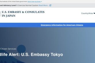 U.S. Embassy In Japan Issues Travel Warning For Travelers Over Bear Deadly Attacks