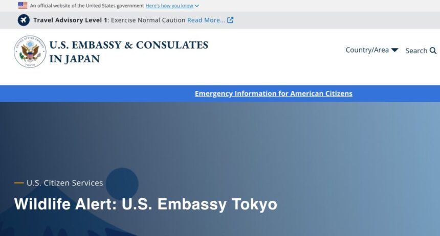 U.S. Embassy In Japan Issues Travel Warning For Travelers Over Bear Deadly Attacks
