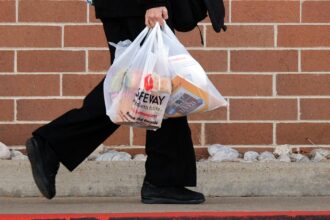 Denver council says it could reject expansion of uses for bag fee money