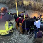 Horse rescued from ditch in northern Weld County