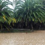 Powerful Holiday Storm Lashes Southern California