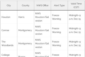 These 17 Texas Cities Are Under Freeze Warnings as Temperatures Drop Statewide