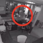 Thieves Caught On Video Taking Pet Ashes From Vet Hospital