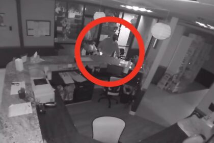 Thieves Caught On Video Taking Pet Ashes From Vet Hospital